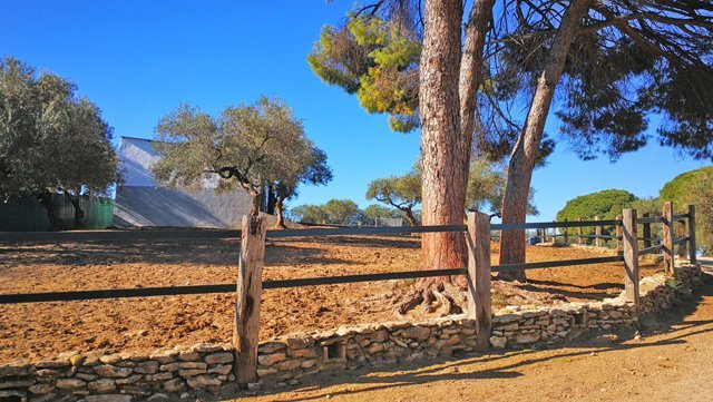 Andalusien, Arcos, Finca für Pferdeliebhaber zu verkaufen