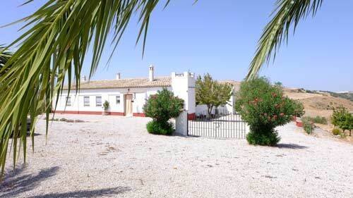 2443 Andalusien, Provinz Sevilla, Montellano, finca zu verkaufen