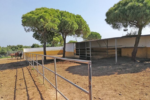 Andalusien, Costa de la Luz, Chiclana - Finca mit Stall, Halle, Restaurant und Wohnhaus