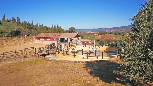 Andalusien, Arcos, Finca für Pferdeliebhaber zu verkaufen