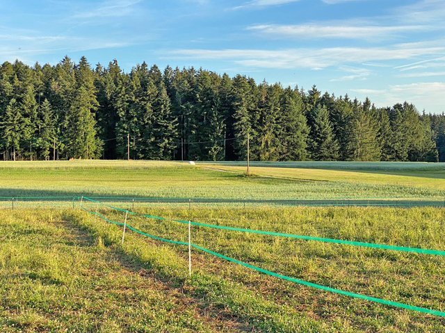 Baden-Württemberg, nahe Kaiserbach - Haus mit Pferdestall in toller Lage zu verkaufen