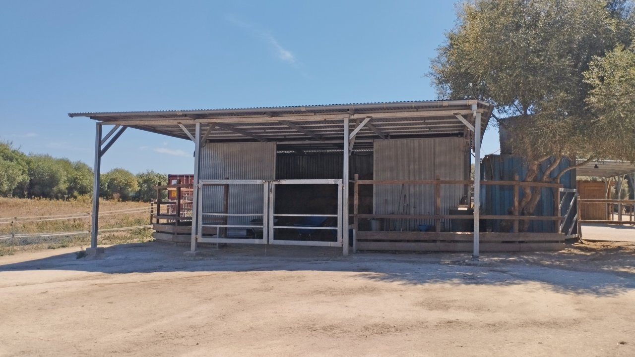 2330 Andalusien, Costa de la Luz, Vejer de la Frontera, Los Canos, Finca, Pferdehaltung verkaufen