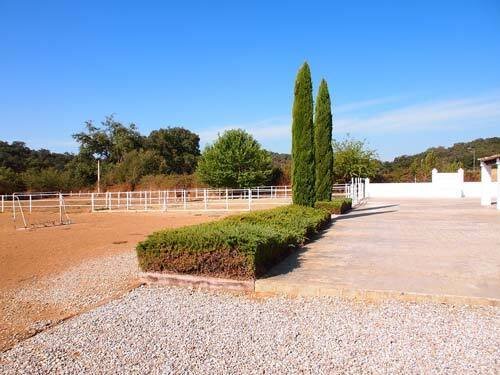 2432BJ andalusien, sevilla, constantina, finca, pool, pferdestall, reitplatz, zu verkaufen