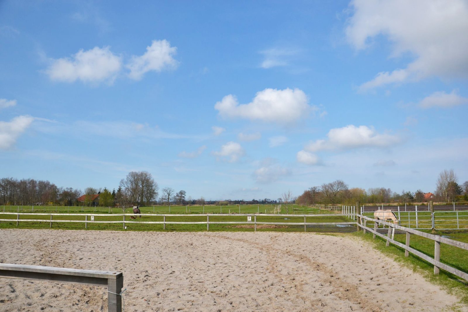 2452 Niedersachsen, Ostfriesland, Wittmund, Reiterhof, Ferienhof zu verkaufen