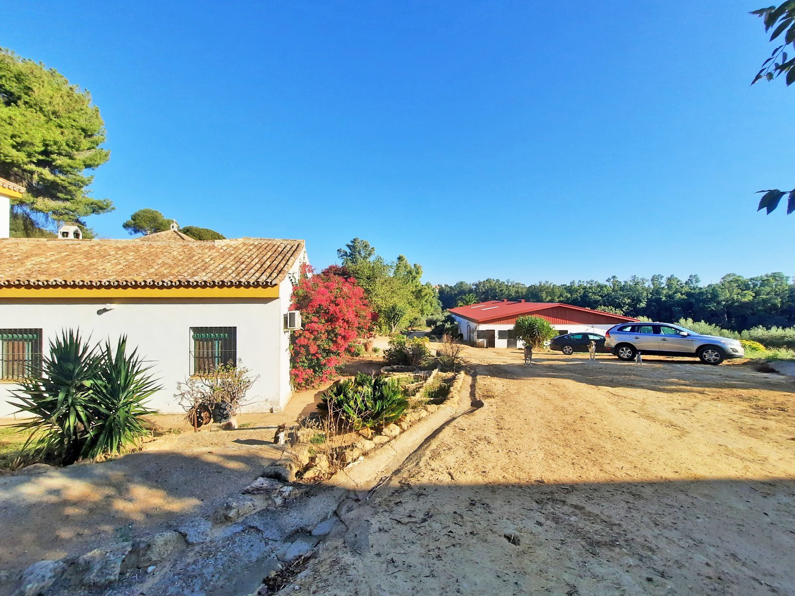 2409ER Andalusien, Alcala de Guadaira - Finca mit Pferdestall und Reithalle zu verkaufen