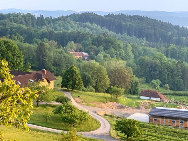 2457 österreich, südoststeiermark, haus mit pferdestall zu verkaufen