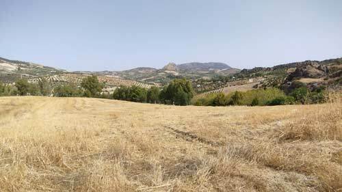 2449 Andalusien, provinz Cadiz, Olvera, finca mit vielen möglichkeiten zu verkaufen