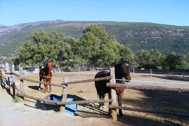 2403 Andalusien, province Granada, Busquistar - finca zum renovieren zu verkaufen