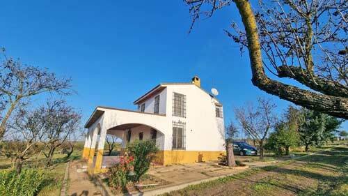 2504 andalucia, province of huelva, rociana del condado, house, finca for sale