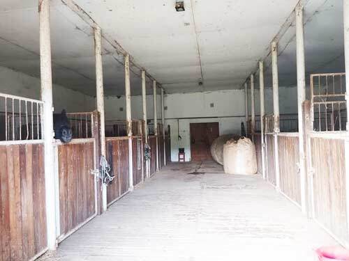 2462MK Hungary, simontornya, horsebusiness, equestrian property for sale