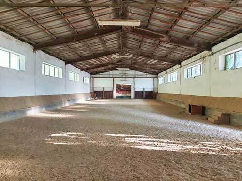 2462MK Hungary, simontornya, horsebusiness, equestrian property for sale