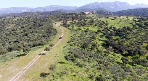 2503LM andalusia, province jaen, andujar, hunting estate, country estate for sale