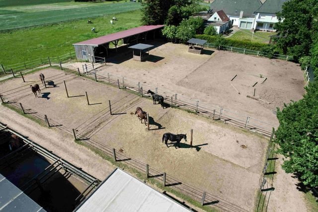 2463MK germany, North Rhine Westphalia, horse equestrian property for sale