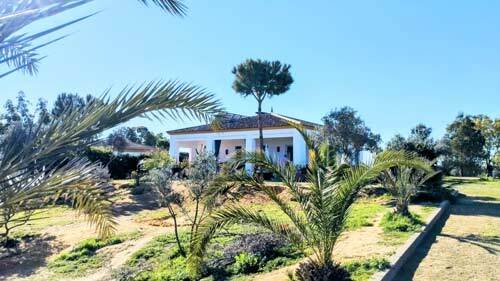 2420 andalusia, province huelva, la palma del condado, countryhouse, finca for sale