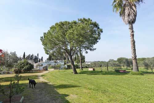 2511MW andalucia, costa de la luz, conil de la frontera, country hotel, finca, for sale