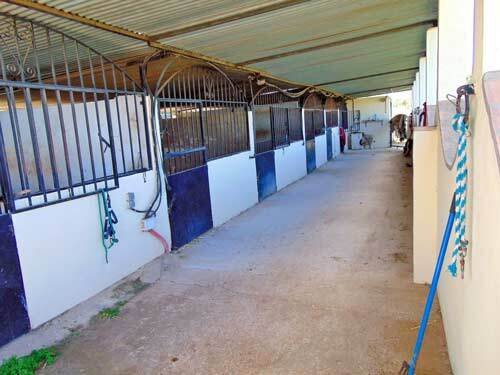 2506LO andalucia, malaga, alhaurin el grande, finca, horse stable for sale