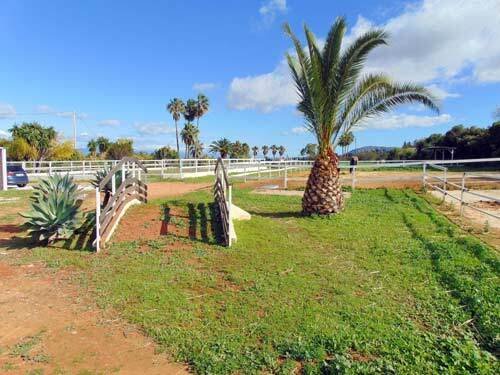 2506LO andalucia, malaga, alhaurin el grande, finca, horse stable for sale