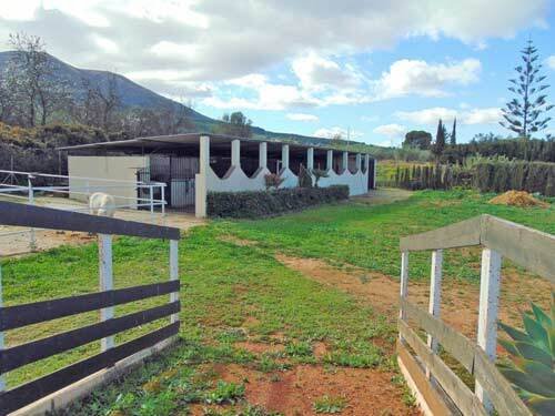 2506LO andalucia, malaga, alhaurin el grande, finca, horse stable for sale