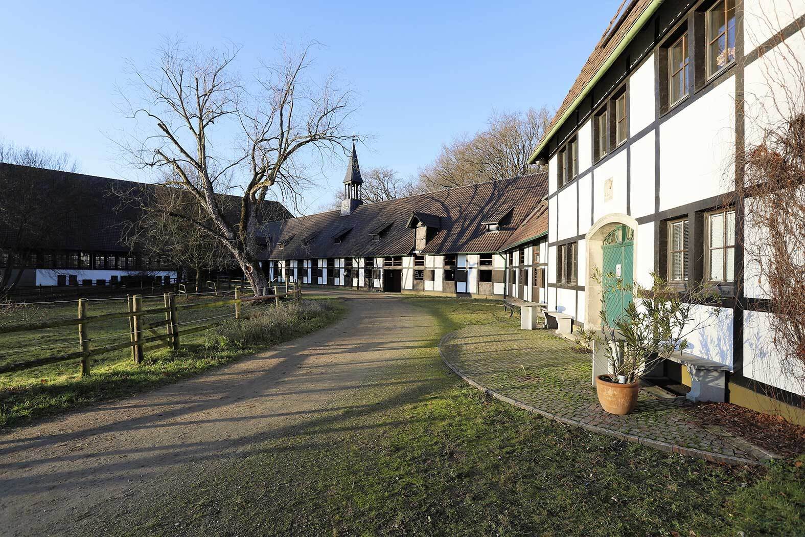 2305 lower saxony, springe, stud, equestrian property, for sale