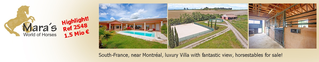 Maras World Solutions S.L. Maras World Solutions S.L.